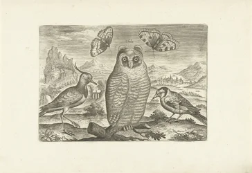 Pássaros e borboletas numa paisagem
Pássaros (título da série)
Avivm vivae (título da série)
