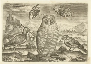 Pássaros e borboletas numa paisagem
Pássaros (título da série)
Avivm vivae (título da série)