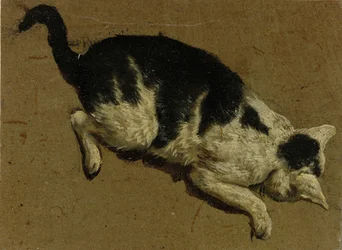 Gato de cima (desenho de pincel)