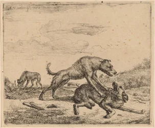 Cães de briga