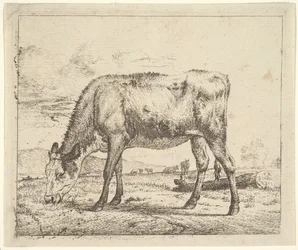 Pastando Bezerro, de Diferentes Animais, 1658.
