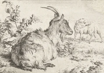 Cabra Deitada, 1670
