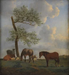 Pasto com cavalos e gado