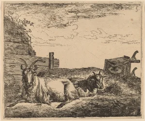 Cabras Reclinadas