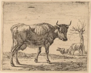 Três Vacas