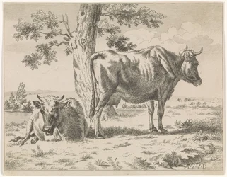 Duas vacas por uma árvore (título da série) Vaca pastando por uma árvore e duas ovelhas