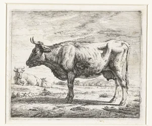Duas vacas e uma ovelha
Vários animais (título da série)