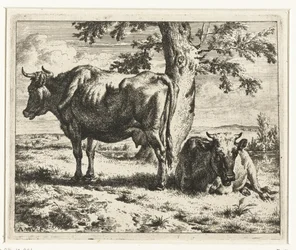 Duas vacas debaixo de uma árvore
Vacas e ovelhas (título da série)