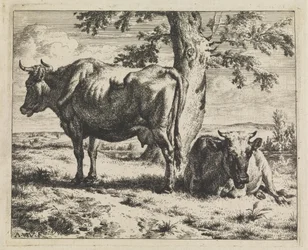 Duas vacas sob uma árvore