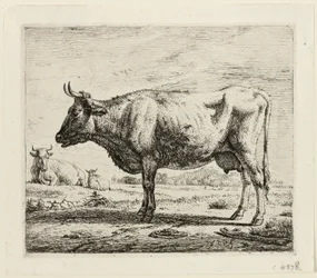 Duas vacas e uma ovelha