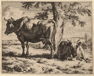 Duas vacas debaixo de uma árvore