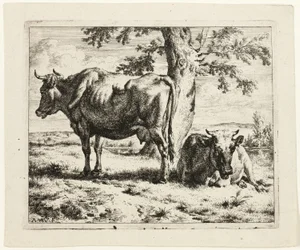 Duas vacas debaixo de uma árvore