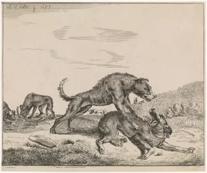 cães de briga Pecuária (título da série)