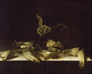 Ainda vida com avelãs, 1696 (óleo sobre papel)