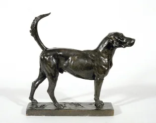 O cão de caça "Pytchley Forager