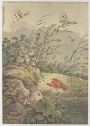 Pedaço de água com caranguejo, borboletas, libélulas e espinheiro, c. 1800.