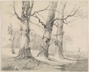Paisagem de Inverno