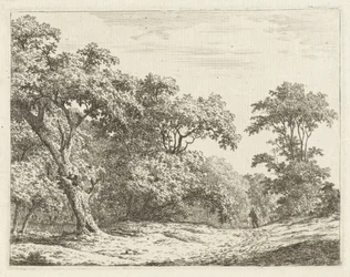 Paisagem com árvores e um homem na estrada