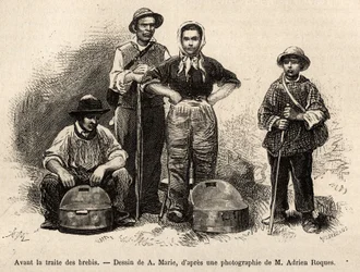 Antes do comércio de ovelhas, todo o pessoal da fazenda era empregado neste local, menino, criado, sob a supervisão do pastor, o leite era recolhido nas soleiras (vaso metálico etame), gravado após um desenho de A.Marie, ilustrando uma viagem a Roquefo