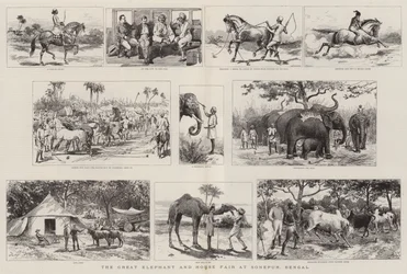 O Grande Elefante e Feira do Cavalo em Sonepur, Bengala