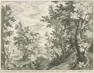 paisagem da floresta