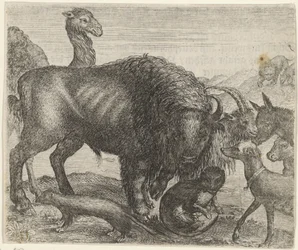 Fábula do bisonte e dos outros animais