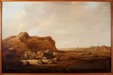 Paisagem com coelhos Pintura de Albert (Aelbert ou Aelbrecht) Cuyp (1620-1691) 1641-1642 Dim. 44x67 cm Genes, Musei di Strada Nuova (ex Palazzo Rosso)
