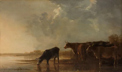 Paisagem fluvial com vacas