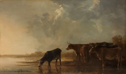 Paisagem fluvial com vacas