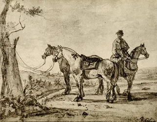 Três cavalos