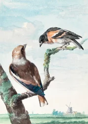 Dois pássaros  Pintassilgo