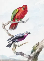 Dois pássaros, incluindo um papagaio vermelho e verde