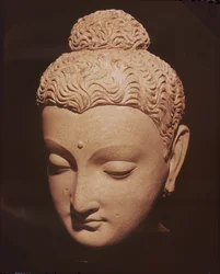 Cabeça de Buda, estilo greco-budista, de Hadda (estuque)