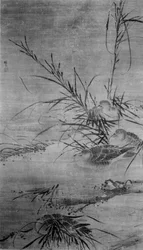 Patos e Reeds.