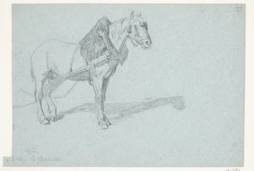 Um cavalo