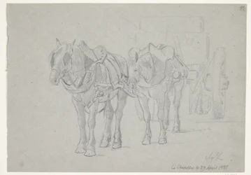 A carruagem aproveitou dois cavalos