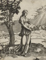 O Cumaean Sybil, 1516 (gravura em papel)
