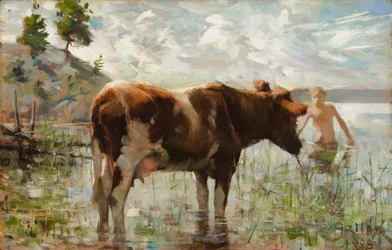 Vaca e Rapaz