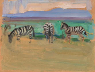 Zebras