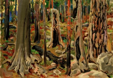 A floresta queimada