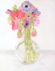 Anemonies, 1982 (lápis colorido sobre papel)
