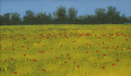 Campo Amarelo com Papoilas, 2002