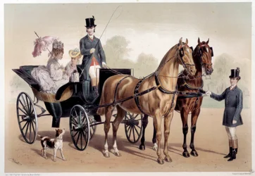Uma carruagem com cavalos anglo-normandos Impressão de Albert Adam (1833-?) Paris do século XIX, Musee Carnavalet