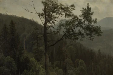 Montanhas cobertas de árvores