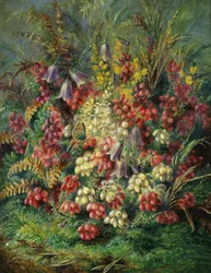 Flores de sino, urze, tojo e borboleta. Pintura de Albert Durer Lucas (1828-1918)