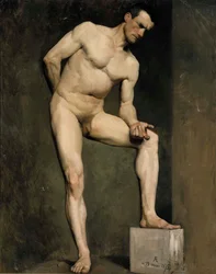 Modelo masculino, estudo académico