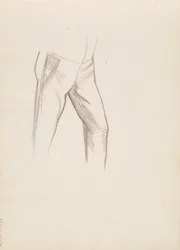 A parte inferior do corpo masculino
