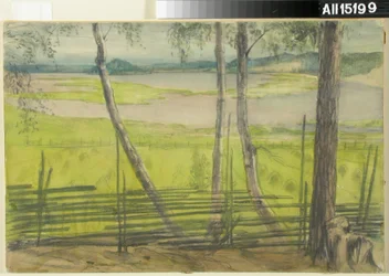 Paisagem de verão