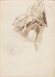 Tulipas
