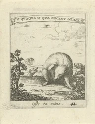 Texugo escapa dos lobos Moralizing Love Emblems (título da série) Devises et emblesmes d